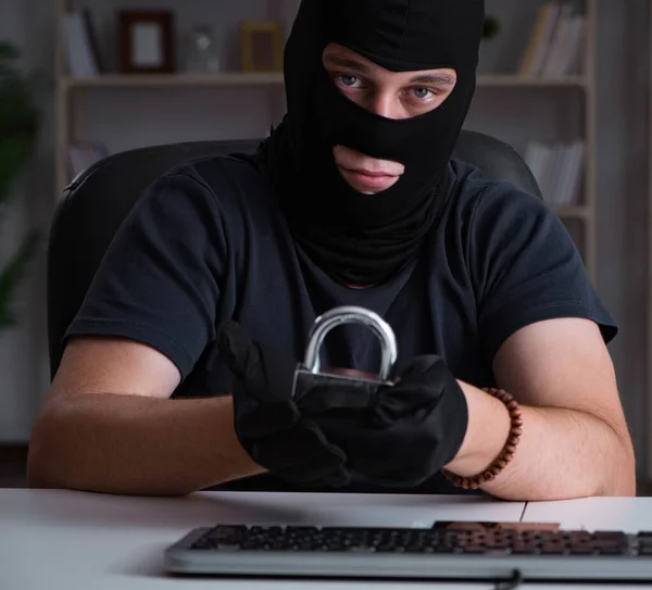 Hacker hacken computer laat op de avond — Stockfoto