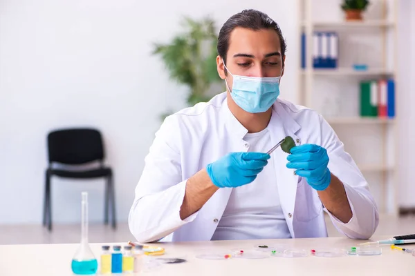 Junger Chemiker arbeitet während der Pandemie im Labor — Stockfoto