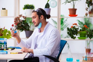 Laboratuvarda çalışan genç erkek kimyager parfümcüsü.