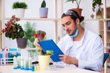 Laboratuvarda çalışan genç erkek kimyager parfümcüsü.