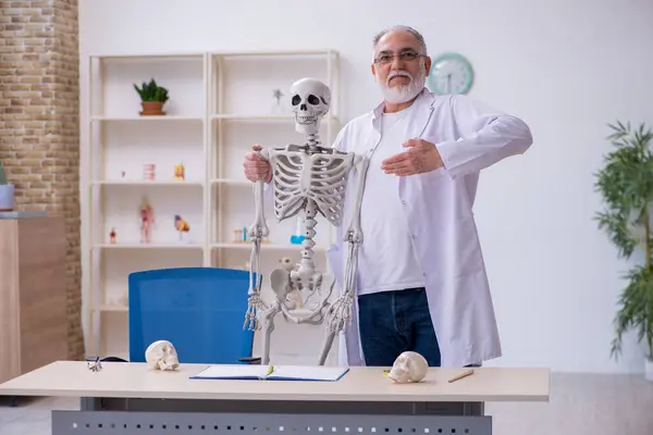 Velho professor de anatomia masculina demonstrando esqueleto humano — Fotografia de Stock