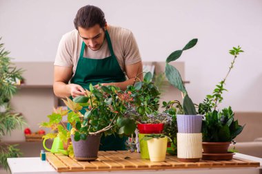 Evin içinde bitkileri olan genç bir erkek bahçıvan.