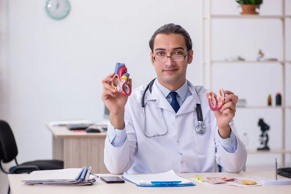 Klinikte çalışan genç bir erkek kardiyolog. — Stok fotoğraf