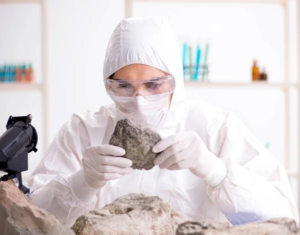 Scientist looking and stone samples in lab — Stock Photo, Image