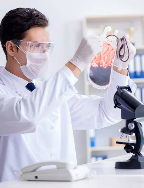 Doctor working with blood samples in hospital clinic lab — Stock Photo, Image