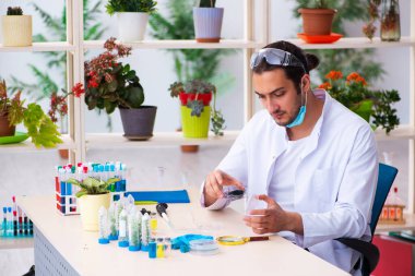 Laboratuvarda çalışan genç erkek kimyager parfümcüsü.