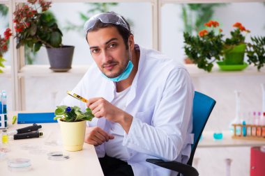 Laboratuvarda çalışan genç erkek kimyager parfümcüsü.