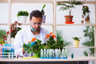 Laboratuvarda çalışan genç erkek kimyager parfümcüsü.