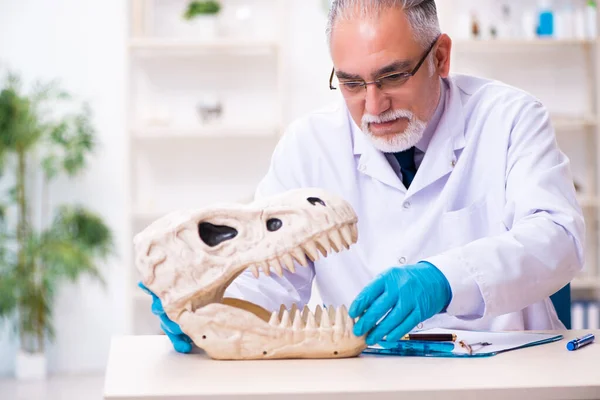 Gammal överordnad paleontolog som arbetar i labbet — Stockfoto