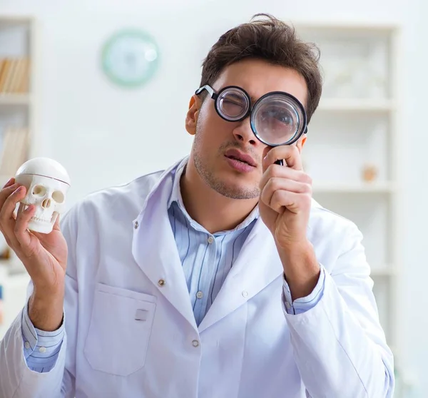 Szalony lekarz badający ludzki szkielet — Zdjęcie stockowe