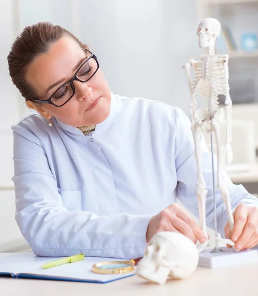 Kvinna läkare studerar mänskligt skelett — Stockfoto