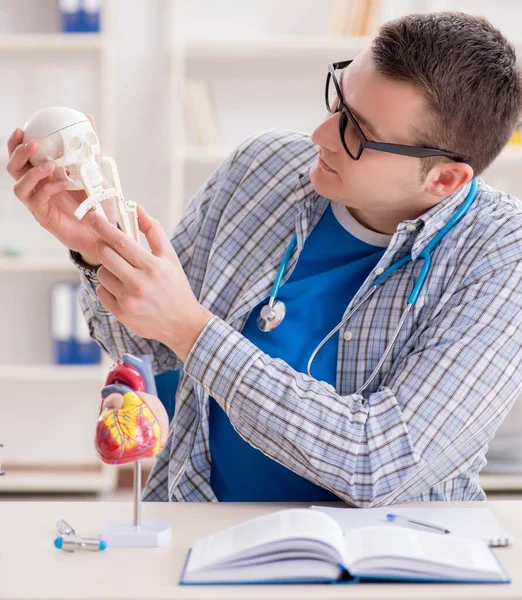 Estudante de medicina estudando esqueleto em sala de aula durante palestra — Fotografia de Stock