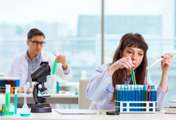 Dois químicos que trabalham em laboratório experimentando — Fotografia de Stock