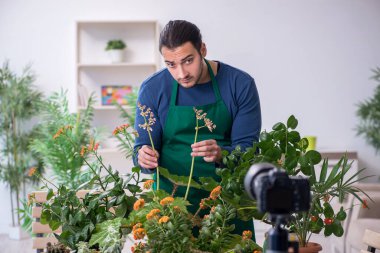 Evin içinde bitkileri olan genç bir erkek bahçıvan.