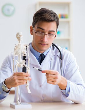 Doktor öğrenci iskeletin kemiklerini inceliyor.