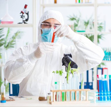 Bitkiler üzerinde çalışan erkek biyokimyacı.