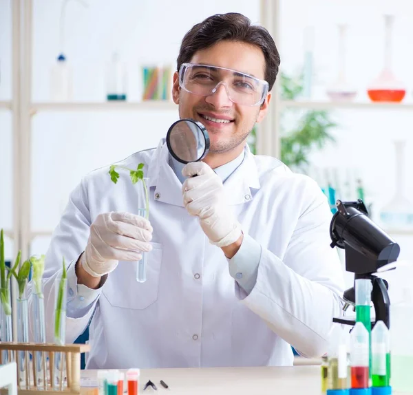 Мужской биохимик, работающий в лаборатории по растениям — стоковое фото