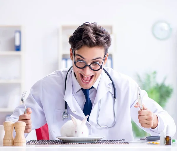 Τρελός τρελός γιατρός ετοιμάζεται να φάει κουνέλι — Φωτογραφία Αρχείου