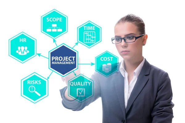 Concept van projectmanagement met zakenmensen — Stockfoto