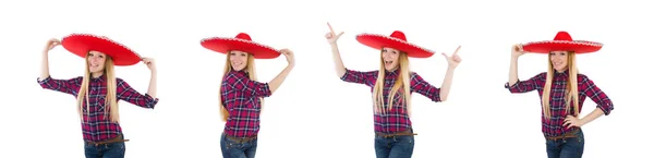 Drôle mexicain avec sombrero dans le concept — Photo