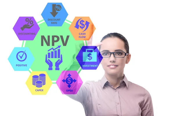 NPVの概念- Net Present Value — ストック写真