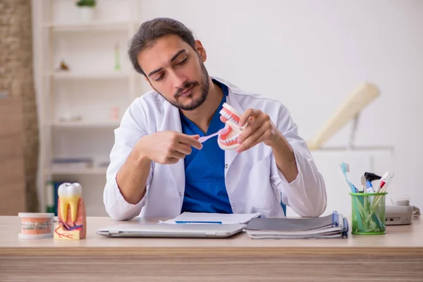 Jeune dentiste enseignant travaillant à la clinique — Photo