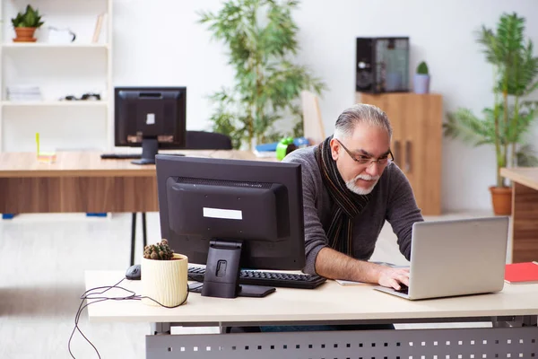 Alter männlicher Mitarbeiter arbeitet während Pandemie von Haus aus — Stockfoto