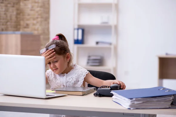 Lustig liten flicka revisor som arbetar på kontoret — Stockfoto