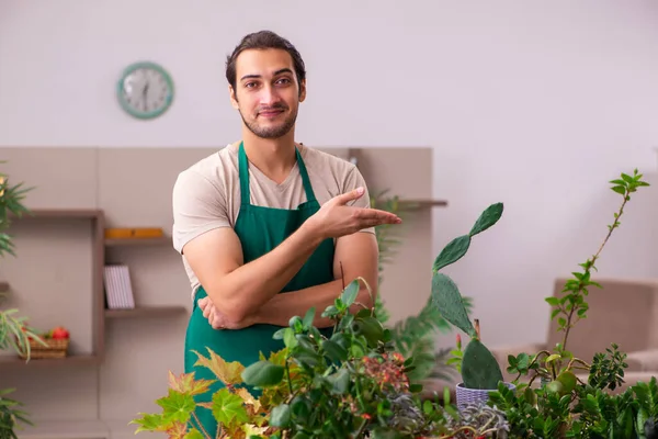 Giovane giardiniere maschio con piante al chiuso — Foto Stock