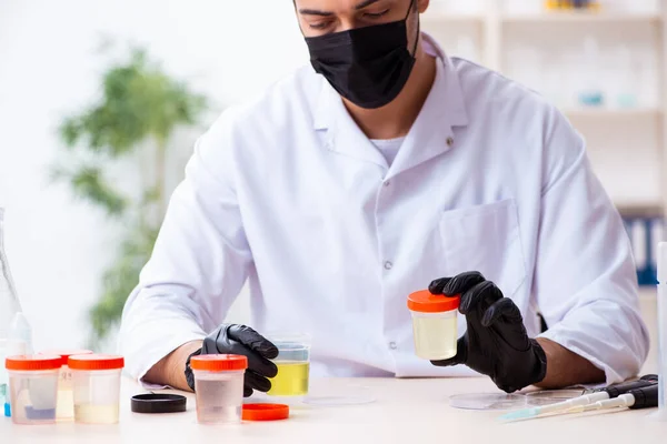 Jeune chimiste masculin travaillant dans le laboratoire — Photo