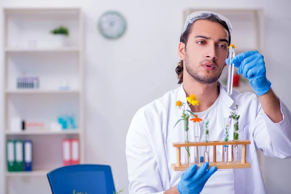 Mladý chemik pracující v laboratoři — Stock fotografie