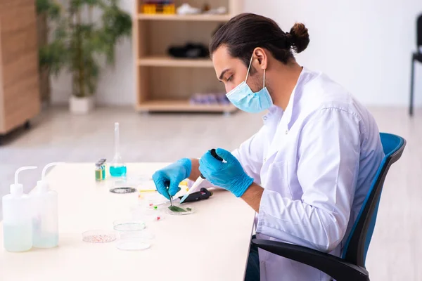 Jeune chimiste masculin travaillant dans le laboratoire pendant la pandémie — Photo