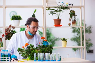 Laboratuvarda çalışan genç erkek kimyager parfümcüsü.