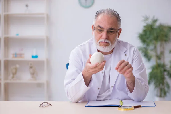 Viejo profesor de anatomía masculina demostrando esqueleto humano —  Fotos de Stock