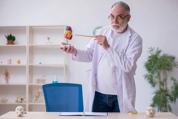 Viejo cardiólogo masculino explicando la estructura del corazón humano — Foto de Stock