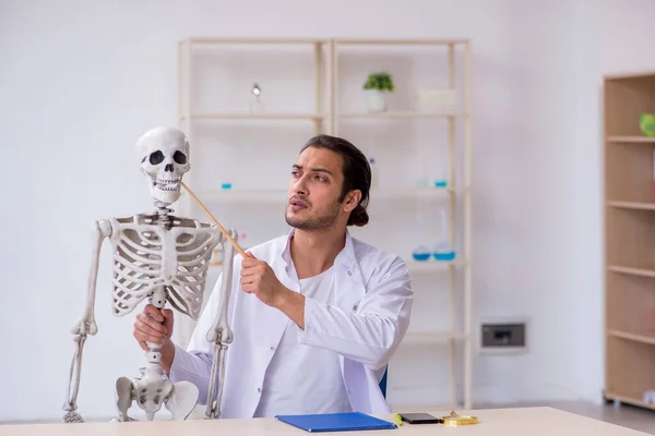 Genç erkek doktor insan iskeleti gösteriyor. — Stok fotoğraf