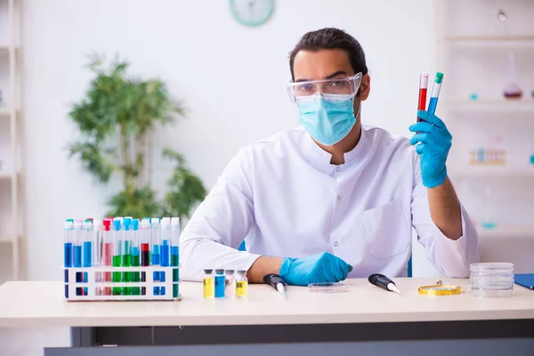 Jonge mannelijke chemicus werkzaam in het lab — Stockfoto