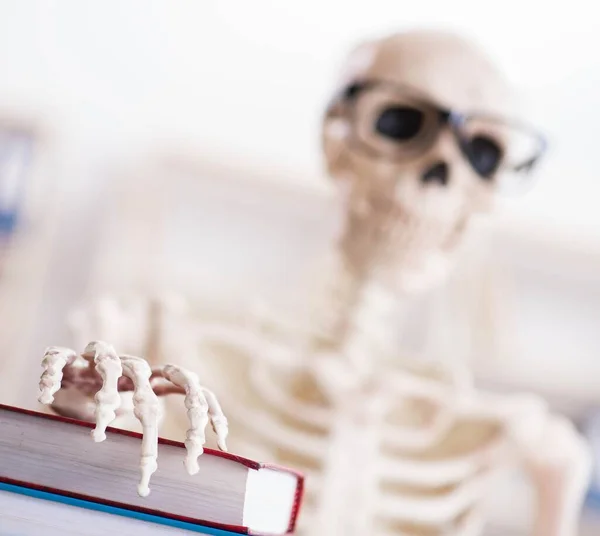 Esqueleto de estudante se preparando para exames — Fotografia de Stock