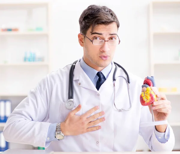 Professor de medicina explicando o modelo do coração — Fotografia de Stock