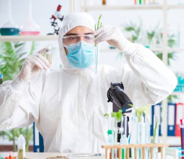 Bitkiler üzerinde çalışan erkek biyokimyacı.