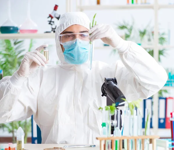 Biokimiawan laki-laki bekerja di laboratorium pada tanaman — Stok Foto