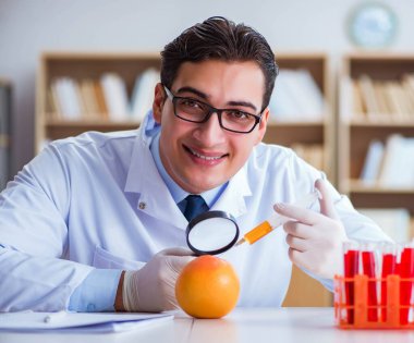 Bilim adamı organik meyve ve sebzeler üzerinde çalışıyor.