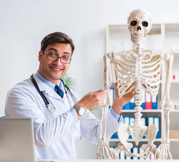 Yong médico masculino con esqueleto aislado en blanco — Foto de Stock