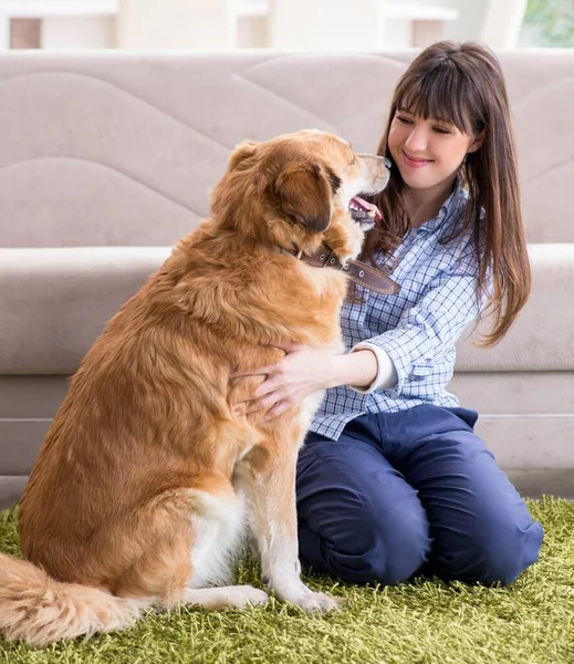 Golden Retriever 'lı mutlu köpek sahibi kadın. — Stok fotoğraf