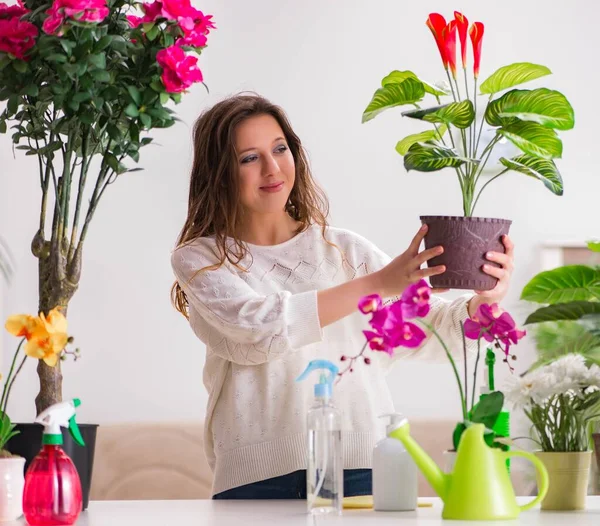 Mujer joven cuidando plantas en casa —  Fotos de Stock