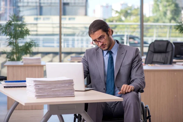 Junge männliche Angestellte im Rollstuhl bei der Arbeit im Büro — Stockfoto