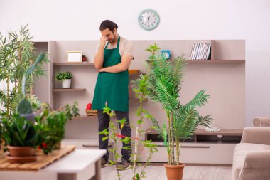 Evin içinde bitkileri olan genç bir erkek bahçıvan.