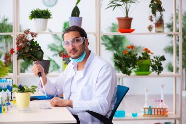 Laboratuvarda çalışan genç erkek kimyager parfümcüsü.