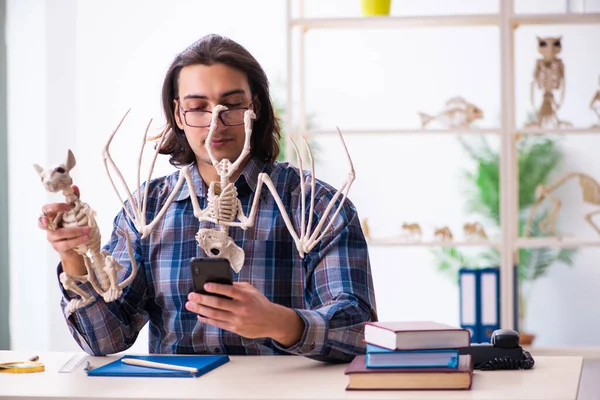 Joven paleontólogo docente en el aula — Foto de Stock