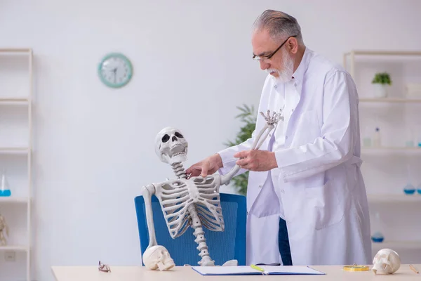 Velho professor de anatomia masculina demonstrando esqueleto humano — Fotografia de Stock